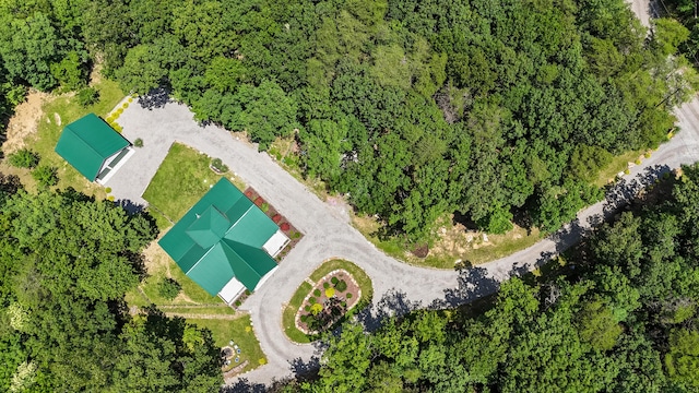 343 Highlands Forest Rd, Menlo, GA 30731 - drone / aerial view