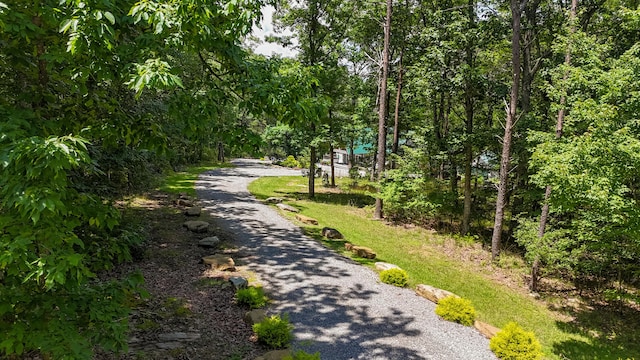 343 Highlands Forest Rd, Menlo, GA 30731 - view of street