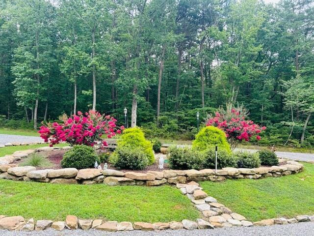 343 Highlands Forest Rd, Menlo, GA 30731 - photo 71