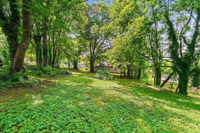 1815 City View St, Dalton, GA 30720 - view of grassy yard