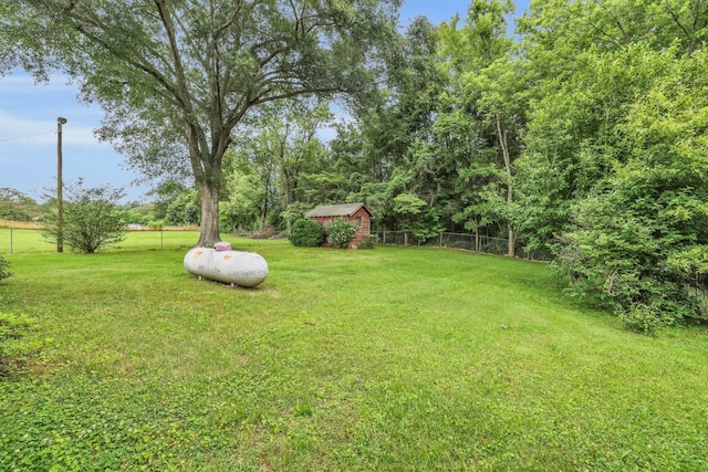 376 Pond Springs Rd, Chickamauga, GA 30707 - view of yard