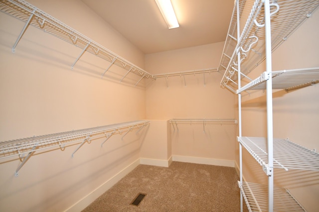 9532 Wandering Way, Ooltewah, TN 37363 - spacious closet with carpet floors