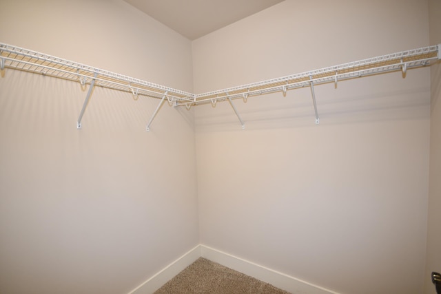 9532 Wandering Way, Ooltewah, TN 37363 - spacious closet featuring carpet flooring