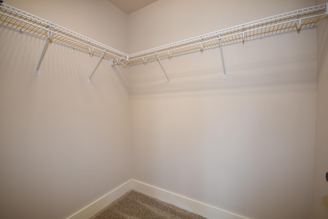 9532 Wandering Way, Ooltewah, TN 37363 - walk in closet featuring carpet flooring