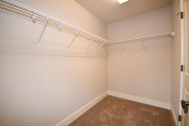 9532 Wandering Way, Ooltewah, TN 37363 - spacious closet featuring carpet