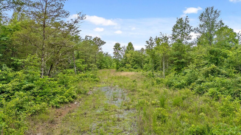 0 State Highway 58, Decatur, TN 37336 - photo 1