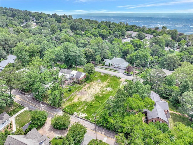 118 Fleetwood Dr, Lookout Mountain, TN 37350