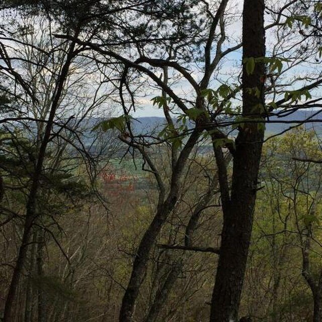 0 Windridge Dr Lot 25, Dunlap, TN 37327