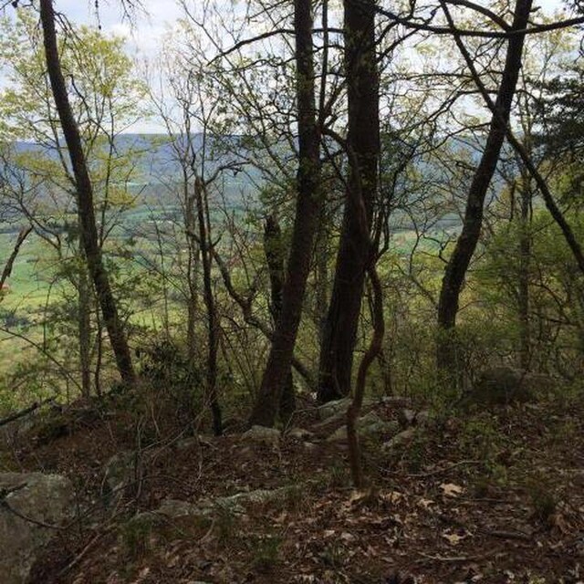 0 Windridge Dr Lot 25, Dunlap, TN 37327