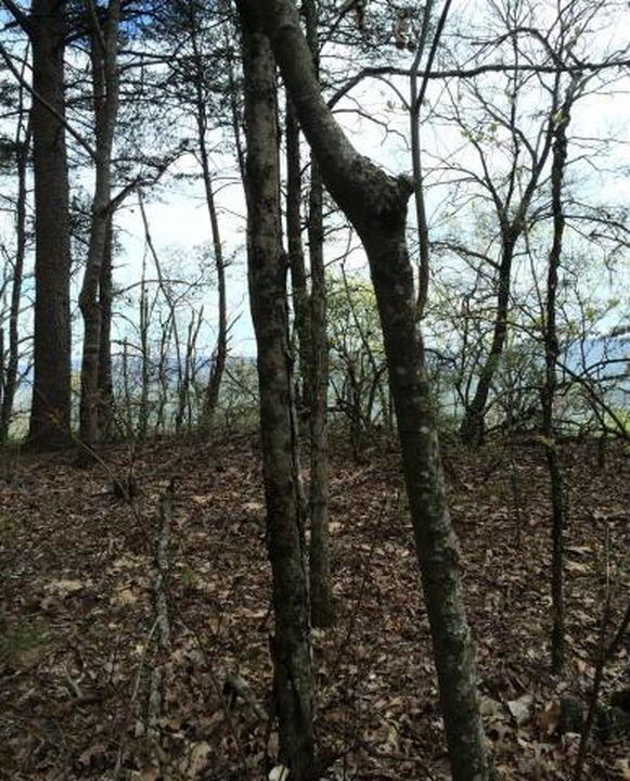0 Windridge Dr Lot 25, Dunlap, TN 37327