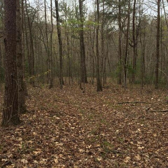 0 Windridge Dr Lot 25, Dunlap, TN 37327