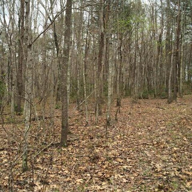 0 Windridge Dr Lot 25, Dunlap, TN 37327