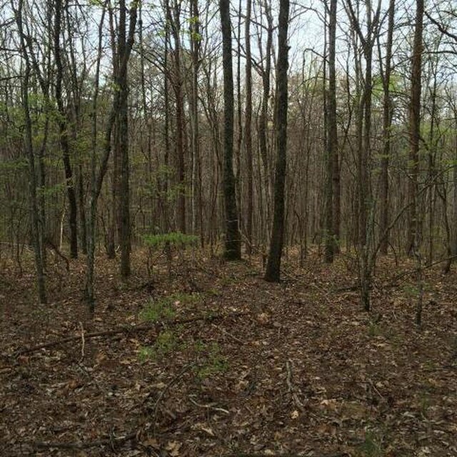 0 Windridge Dr Lot 25, Dunlap, TN 37327