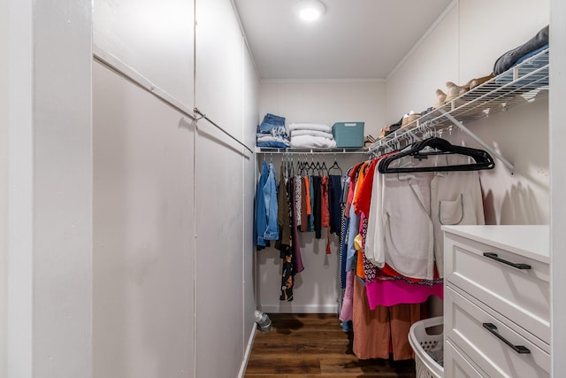 2113 Frankie Ln, Soddy Daisy, TN 37379 - walk in closet with wood finished floors