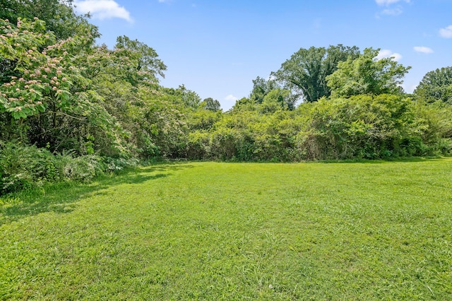 00 Shallowford Rd, Chattanooga, TN 37411