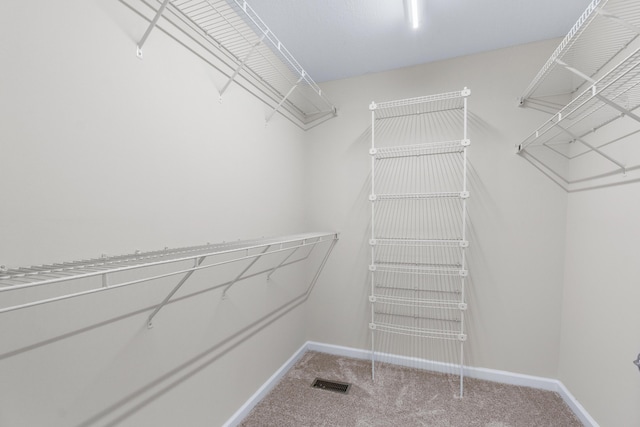 63 Apple Ln, Ringgold, GA 30736 - walk in closet featuring carpet