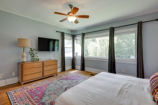 511 Georgia Ave, Signal Mountain, TN 37377 - bedroom with multiple windows, wood finished floors, crown molding, and ceiling fan