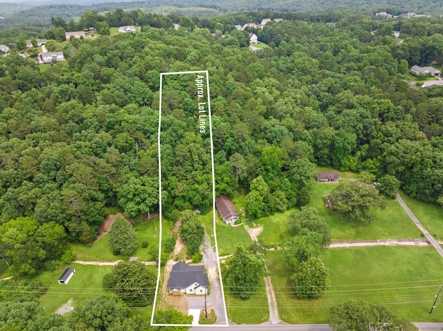 10822 Dallas Hollow Rd, Soddy Daisy, TN 37379 - aerial view of property's location with property parcel outlined