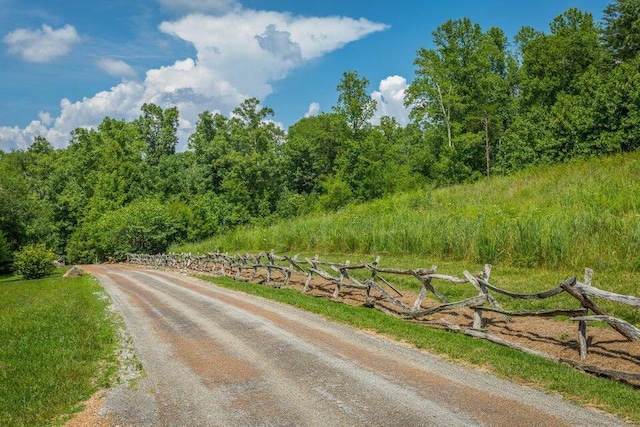 0 Long Branch Rd Lot 10, Rising Fawn, GA 30738