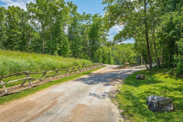 0 Long Branch Rd Lot 10, Rising Fawn, GA 30738
