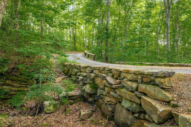 0 Long Branch Rd Lot 10, Rising Fawn, GA 30738