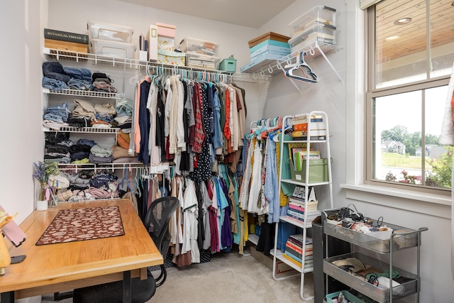 10607 Flicker Way, Apison, TN 37302 - spacious closet with carpet floors