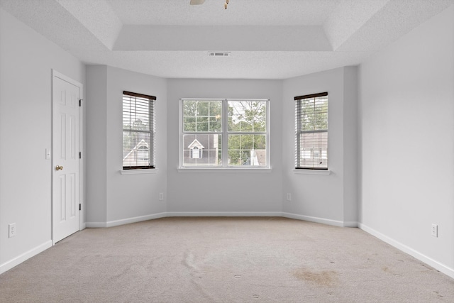 8616 Oak View Dr, Chattanooga, TN 37421 - unfurnished room with carpet floors, healthy amount of natural light, a tray ceiling, and a textured ceiling