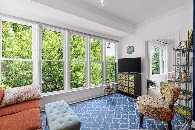 100 Scenic Hwy Unit 49, Lookout Mountain, TN 37350 - view of sunroom / solarium