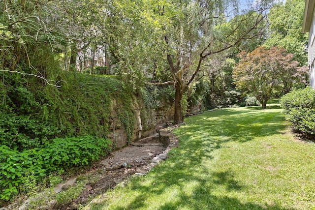 100 Scenic Hwy Unit 49, Lookout Mountain, TN 37350 - view of green lawn