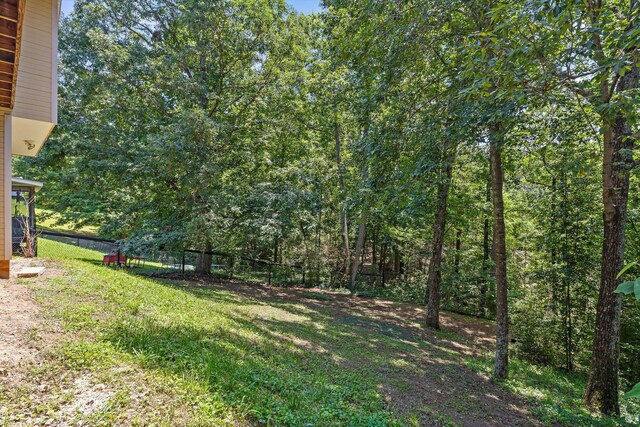 394 Leona Dr, Ringgold, GA 30736 - photo 41