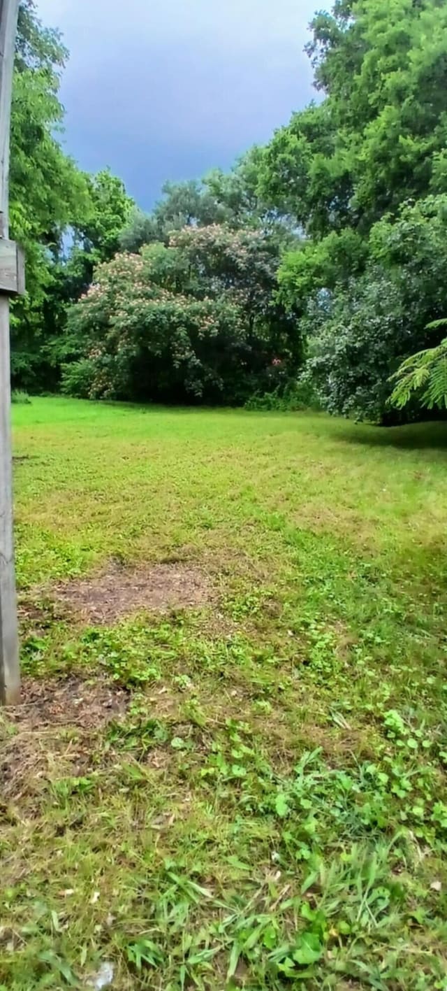 207 W 9th St, Chickamauga, GA 30707 - view of grassy yard