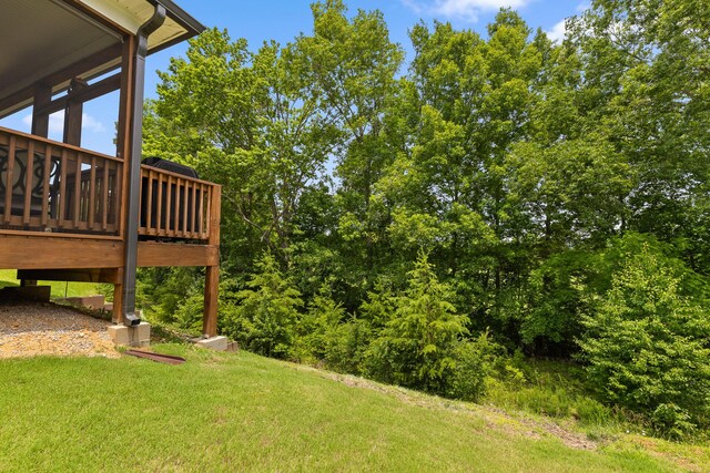 10380 Magnolia Farm Dr, Apison, TN 37302 - photo 38