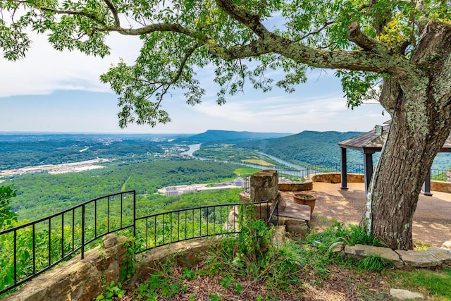 208 S Palisades Dr, Signal Mountain, TN 37377 - mountain view