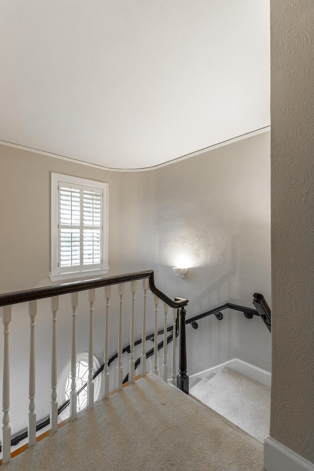 208 S Palisades Dr, Signal Mountain, TN 37377 - staircase with carpet and baseboards