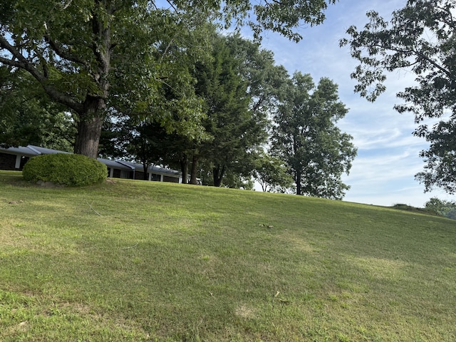 30551 Al Al Unit 71, Bryant, AL 35958 - view of green lawn