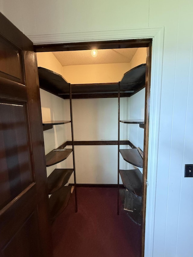 30551 Al Al Unit 71, Bryant, AL 35958 - spacious closet with carpet