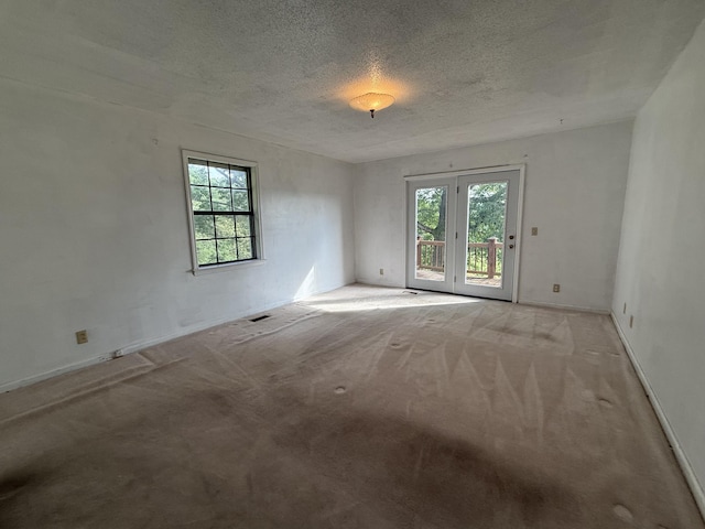 30551 Al Al Unit 71, Bryant, AL 35958 - unfurnished room with plenty of natural light, a textured ceiling, and carpet floors