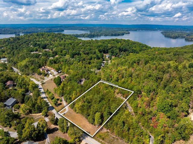 6933 Short Tail Springs Rd, Harrison, TN 37341