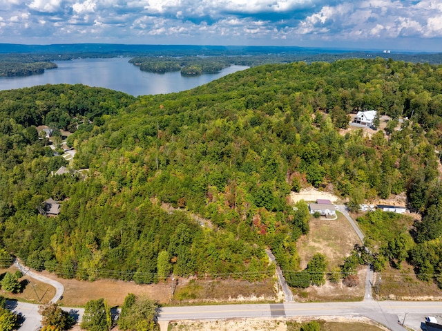 6933 Short Tail Springs Rd, Harrison, TN 37341