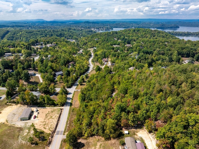 6933 Short Tail Springs Rd, Harrison, TN 37341