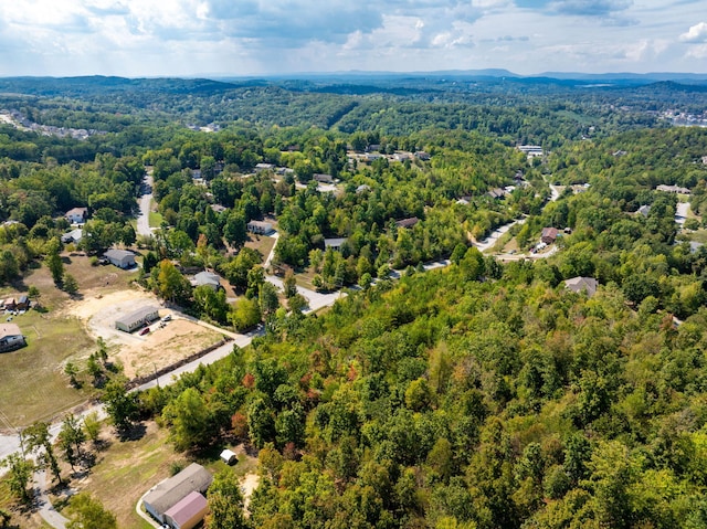 6933 Short Tail Springs Rd, Harrison, TN 37341