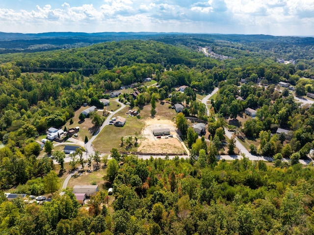 6933 Short Tail Springs Rd, Harrison, TN 37341