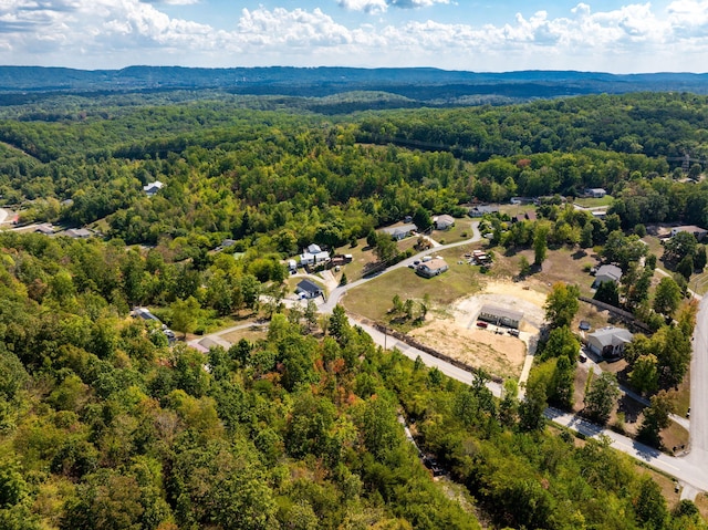 6933 Short Tail Springs Rd, Harrison, TN 37341