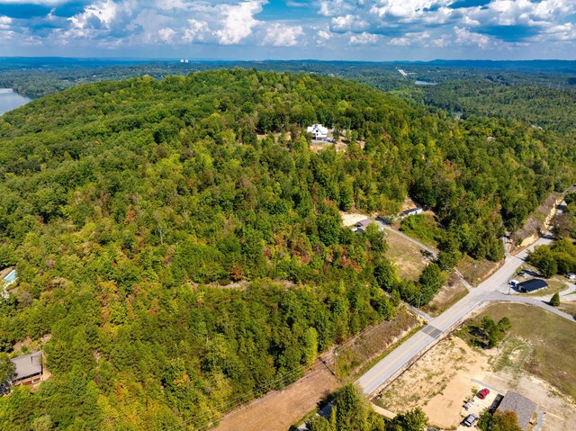 6933 Short Tail Springs Rd, Harrison, TN 37341