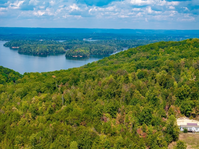 6933 Short Tail Springs Rd, Harrison, TN 37341