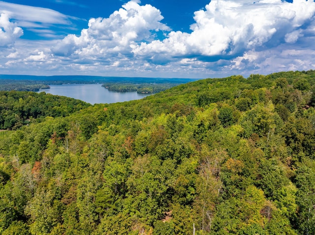 6933 Short Tail Springs Rd, Harrison, TN 37341