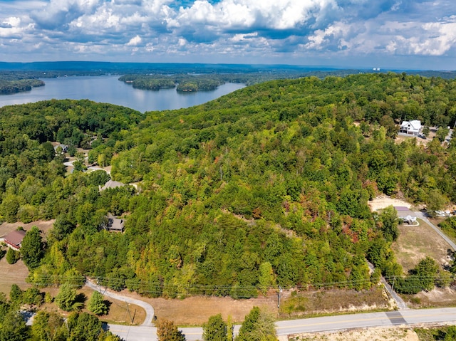 6933 Short Tail Springs Rd, Harrison, TN 37341