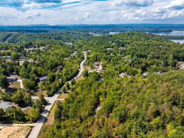 6933 Short Tail Springs Rd, Harrison, TN 37341