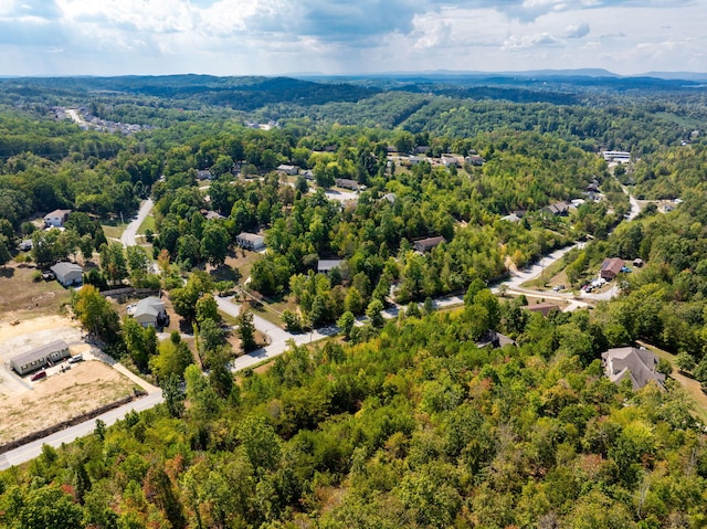 6933 Short Tail Springs Rd, Harrison, TN 37341