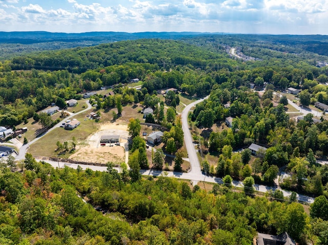 6933 Short Tail Springs Rd, Harrison, TN 37341